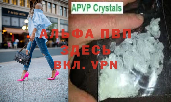 ешки Богданович