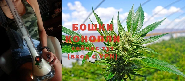 ешки Богданович
