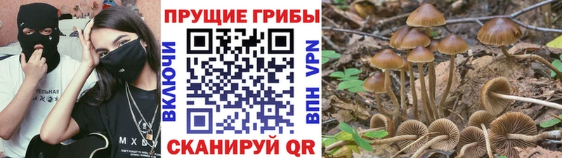 Псилоцибиновые грибы Psilocybe  наркошоп  Нефтеюганск 